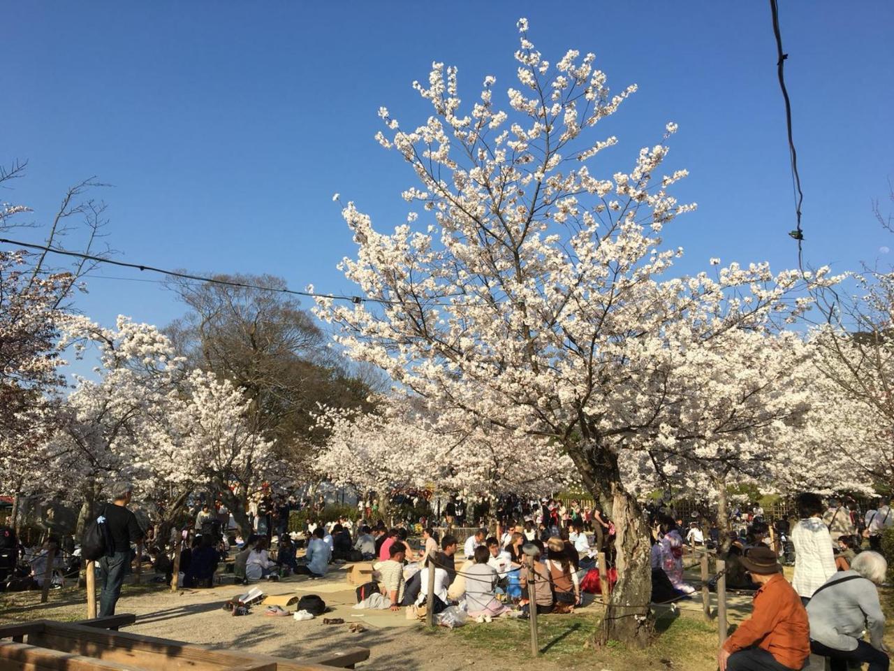 교토 美築八坂 아파트 외부 사진